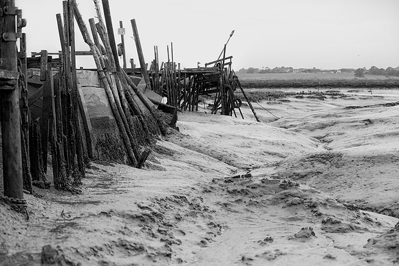 Flag Creek Essex 31